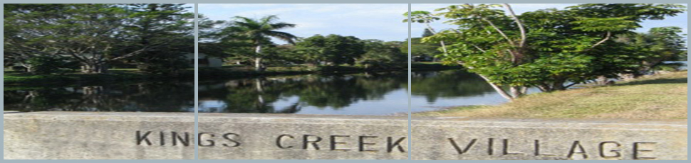 Snapper Creek at Kings Creek Village, Miami, FL